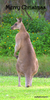 Christmas Kangaroo Image